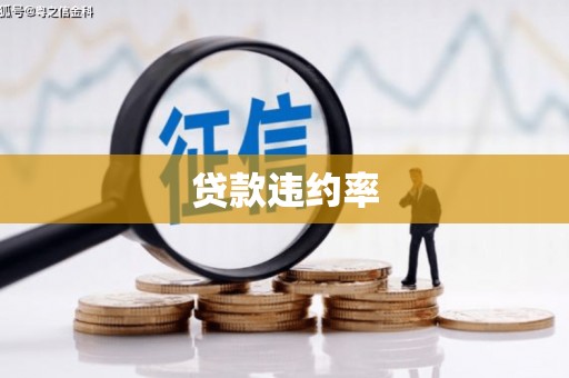 贡嘎贷款违约率