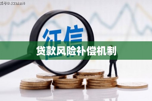 贡嘎贷款风险补偿机制