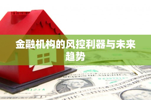 贡嘎金融机构的风控利器与未来趋势