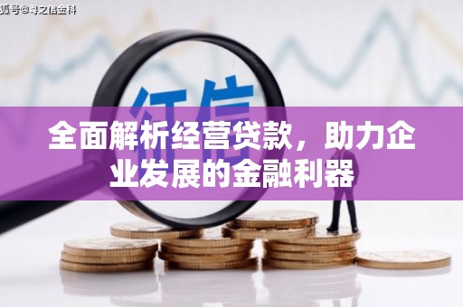 贡嘎全面解析经营贷款，助力企业发展的金融利器