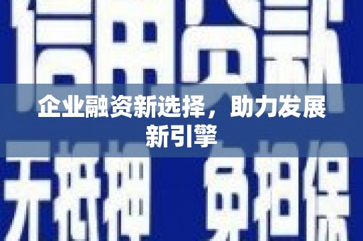贡嘎企业融资新选择，助力发展新引擎