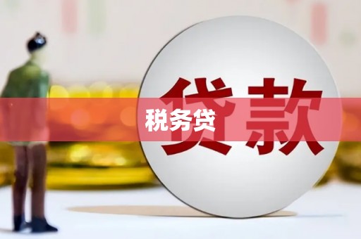 贡嘎税务贷