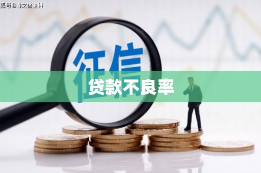 贡嘎贷款不良率