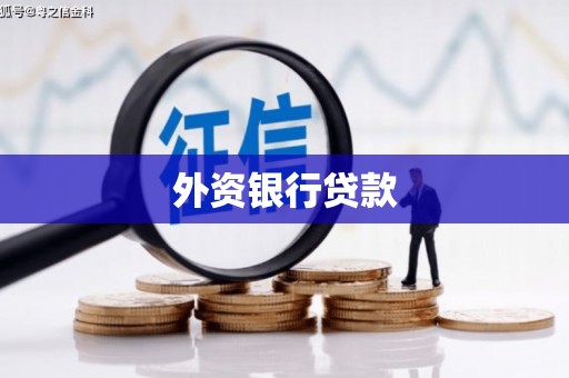 贡嘎外资银行贷款