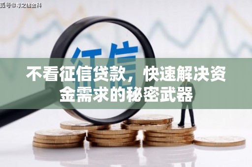 贡嘎不看征信贷款，快速解决资金需求的秘密武器