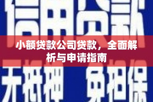 贡嘎小额贷款公司贷款，全面解析与申请指南