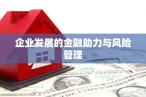 贡嘎企业发展的金融助力与风险管理