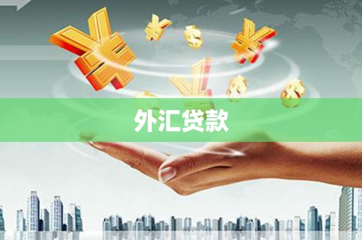 贡嘎外汇贷款