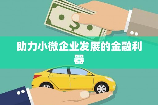 贡嘎助力小微企业发展的金融利器