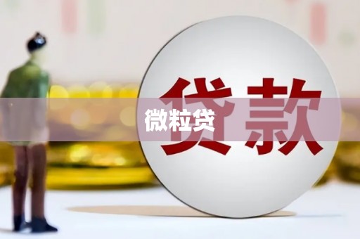 贡嘎微粒贷