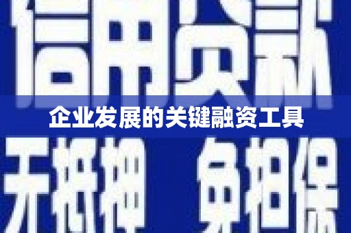 贡嘎企业发展的关键融资工具