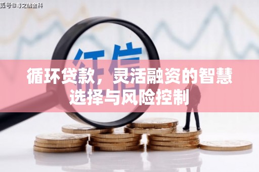 贡嘎循环贷款，灵活融资的智慧选择与风险控制
