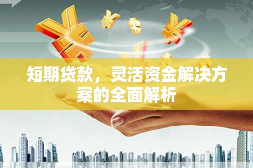 贡嘎短期贷款，灵活资金解决方案的全面解析