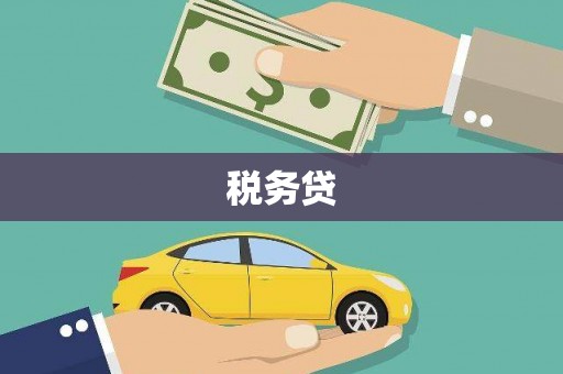 贡嘎税务贷