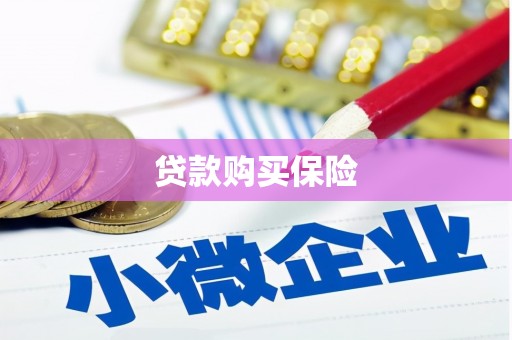 贡嘎贷款购买保险