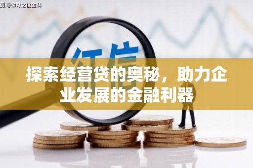 贡嘎探索经营贷的奥秘，助力企业发展的金融利器