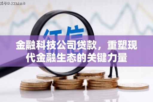贡嘎金融科技公司贷款，重塑现代金融生态的关键力量