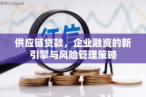贡嘎供应链贷款，企业融资的新引擎与风险管理策略