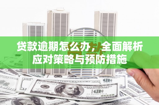 贡嘎贷款逾期怎么办，全面解析应对策略与预防措施