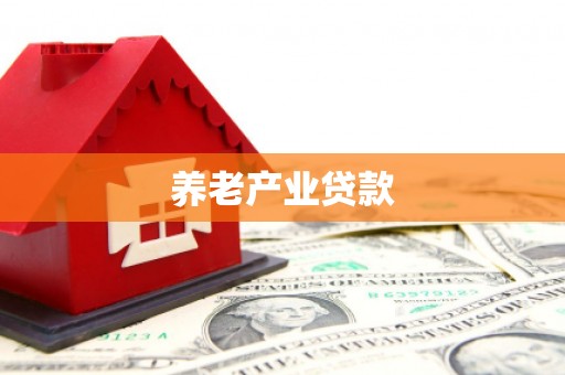 贡嘎养老产业贷款