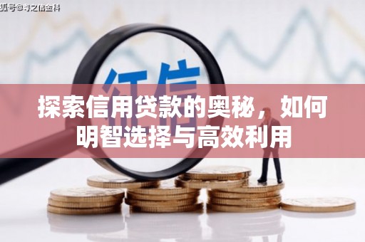 贡嘎探索信用贷款的奥秘，如何明智选择与高效利用