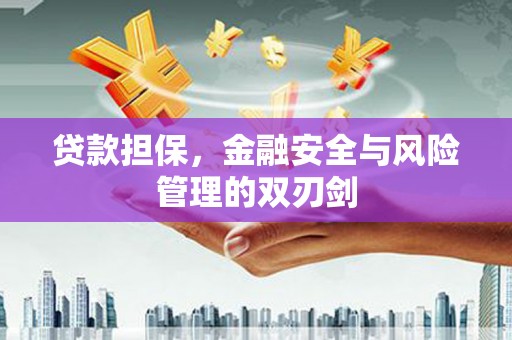 贡嘎贷款担保，金融安全与风险管理的双刃剑