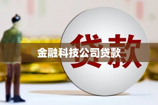 贡嘎金融科技公司贷款