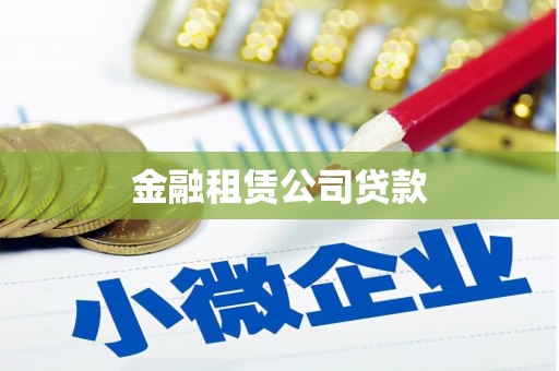 贡嘎金融租赁公司贷款