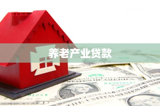 贡嘎养老产业贷款