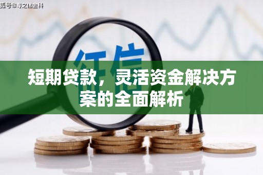 贡嘎短期贷款，灵活资金解决方案的全面解析