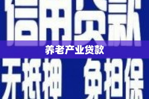 贡嘎养老产业贷款