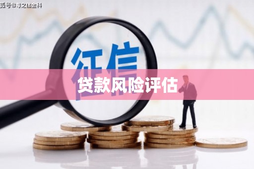 贡嘎贷款风险评估