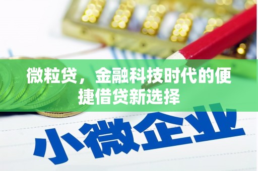 贡嘎微粒贷，金融科技时代的便捷借贷新选择