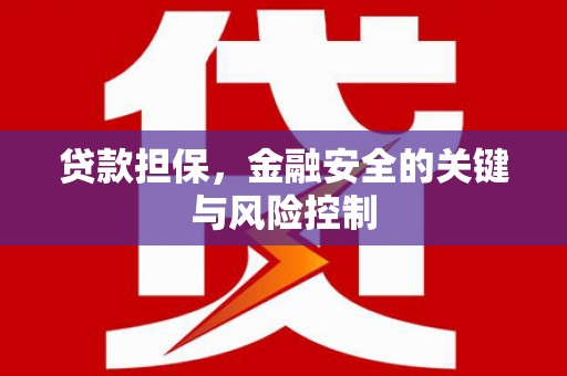 贡嘎贷款担保，金融安全的关键与风险控制