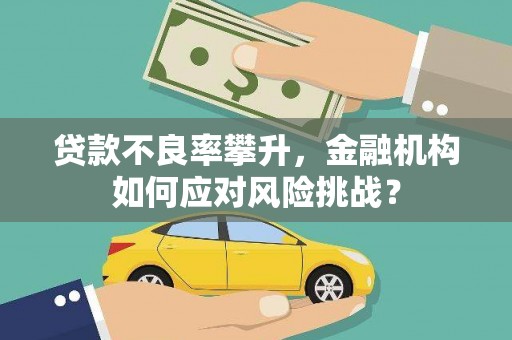 贡嘎贷款不良率攀升，金融机构如何应对风险挑战？