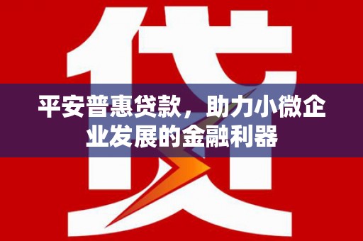 贡嘎平安普惠贷款，助力小微企业发展的金融利器