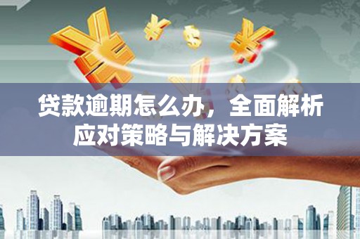 贡嘎贷款逾期怎么办，全面解析应对策略与解决方案