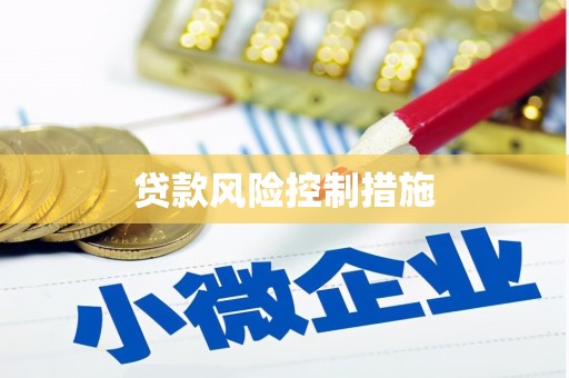 贡嘎贷款风险控制措施