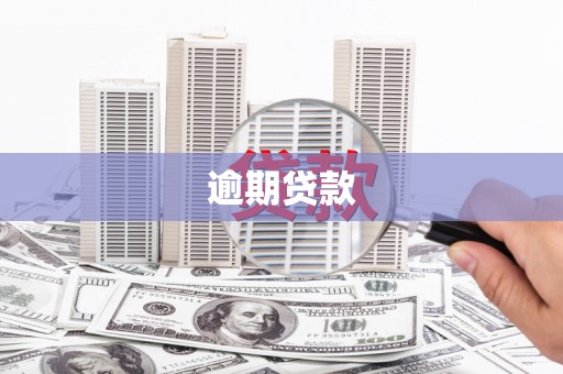 贡嘎逾期贷款